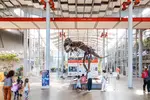 Pacific Coast Highway Travel picks the ten best things to see at the California Academy of Sciences in San Francisco, one of the city’s top attractions.