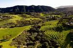 The San Luis Obispo Coast wine region is the most recent wine region in the USA to be declared an American Viticultural Area (AVA).