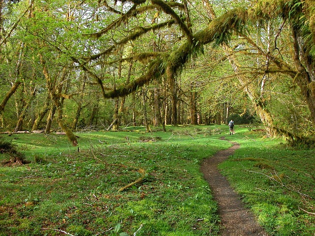 backpackers-olympic-national-park-pixabay-2011092_640.jpg