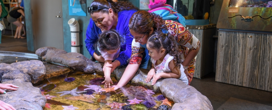 Santa-Barbara-Ty-Warner-Sea-Center.jpg