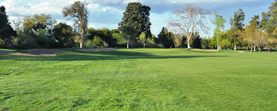 alister-mackenzie-golf-course-at-higgins-oaks.png