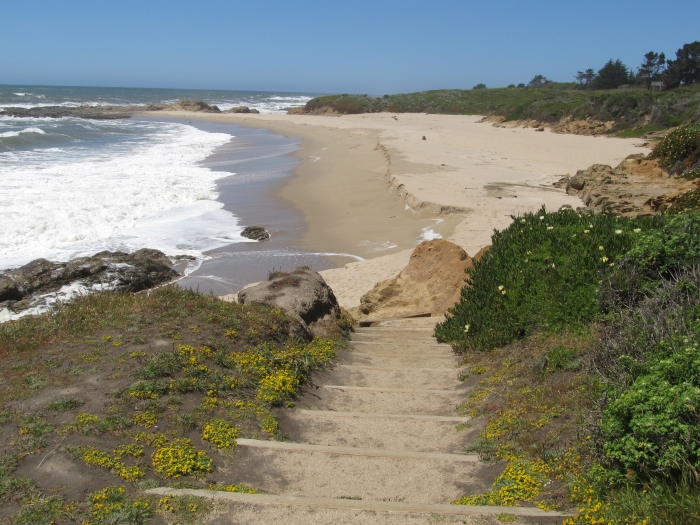 Photograph of Seal Cove Beach on the Pacific Coast Highway in California