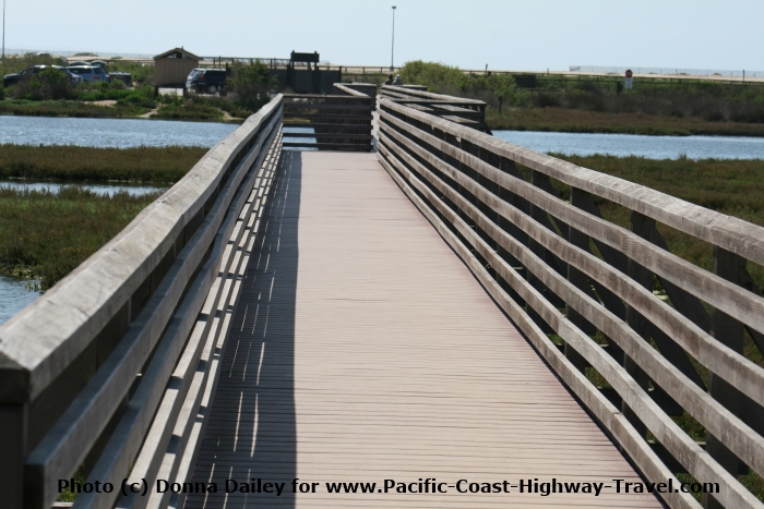 Bolsa Chica Ecological Reserve