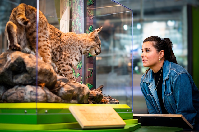 Natural History Exhibit at the California Academy of Sciences