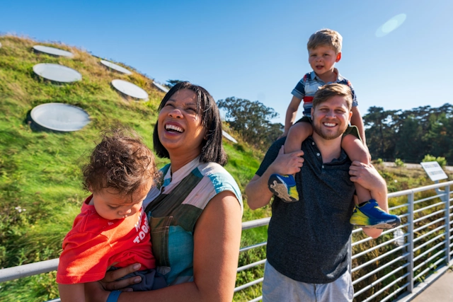 The Living Roof at the California Academy of Sciences