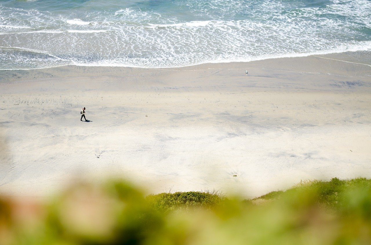 The Beach at Del Mar in California