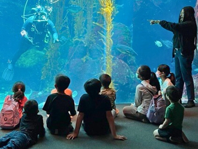 Children in the Aquarium at the California Science Center