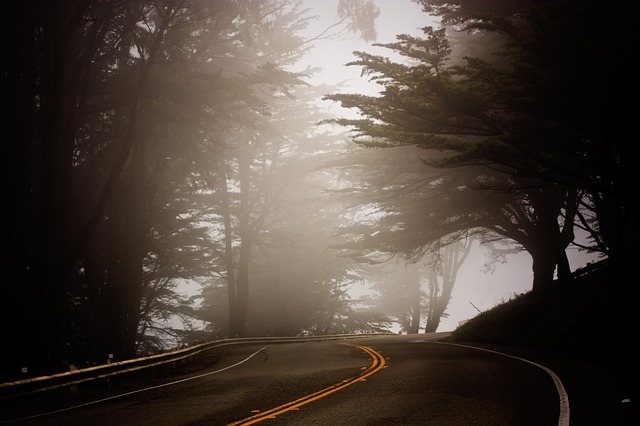 Misty Morning driving the Pacific Coast Highway