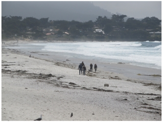 Carmel Beach in California, one of the Best Beaches in California