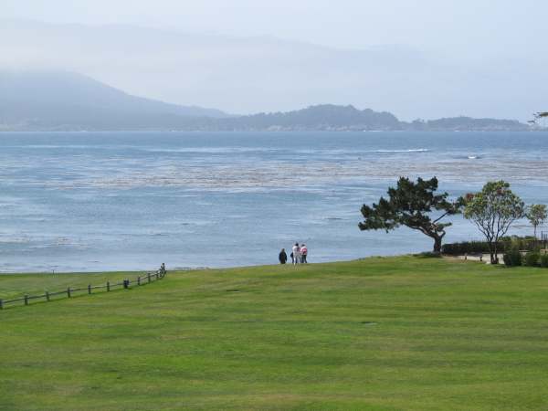 View along the 17-Mile-Drive from Carmel