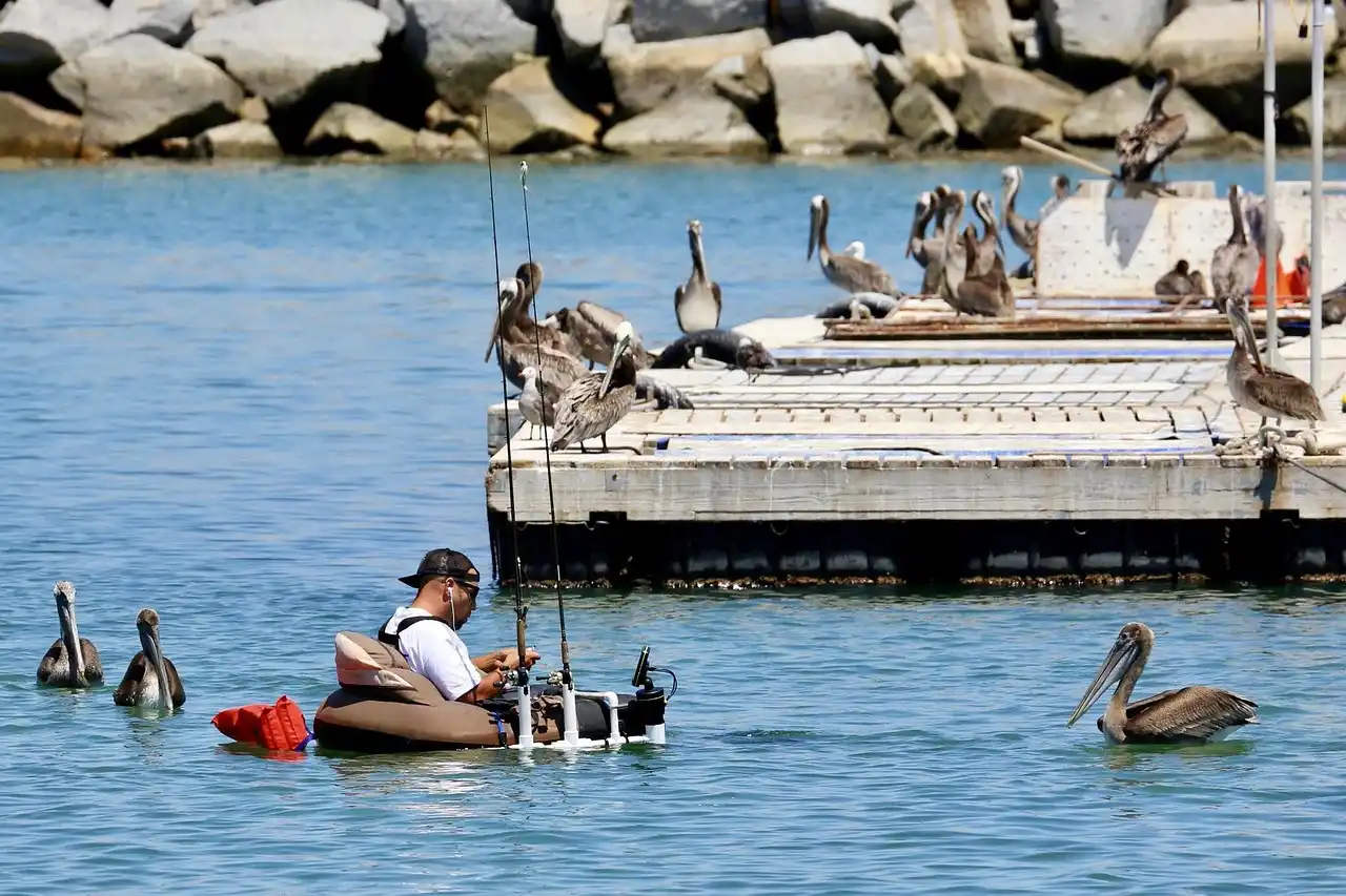 Fisherman in the Harbor at Dana Point