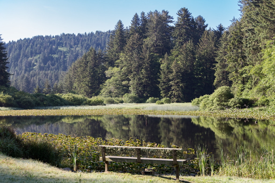Del Norte Coast Redwoods State Park in California