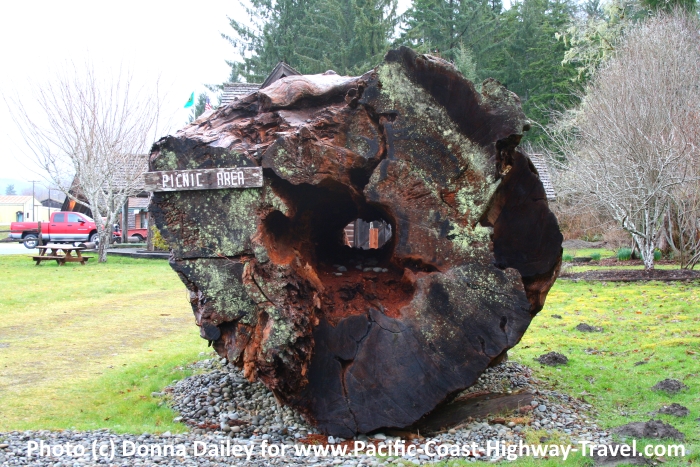 Picnic Area near the Visitor Information Center in Forks, Washington