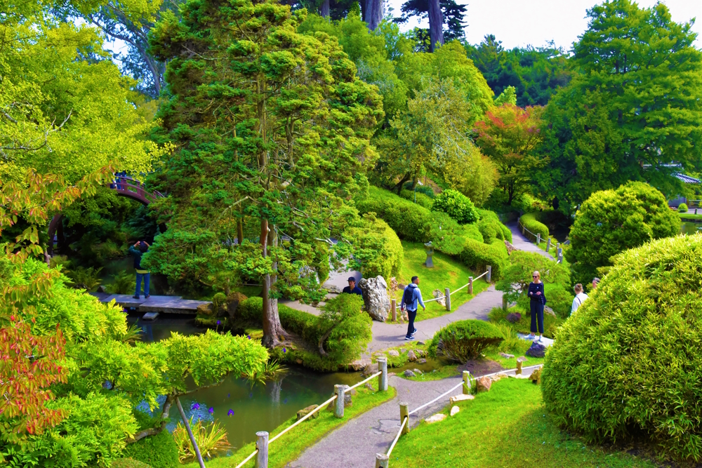 Pacific Coast Highway Travel's advice on visiting Golden Gate Park in San Francisco and seeing its museums, gardens, lakes, buildings, and even bison!