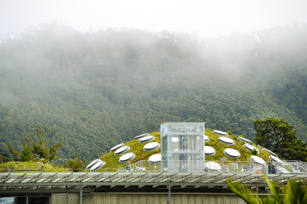 The Living Roof of the California Academy of Sciences in San Francisco