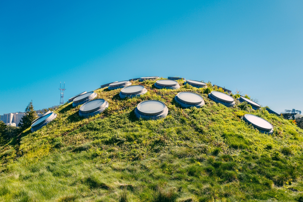 The Living Roof of the California Academy of Sciences in San Francisco