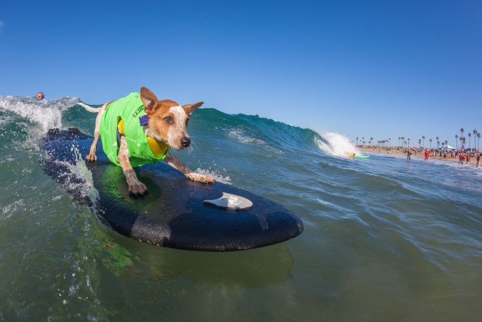 Huntington Beach Events 2018