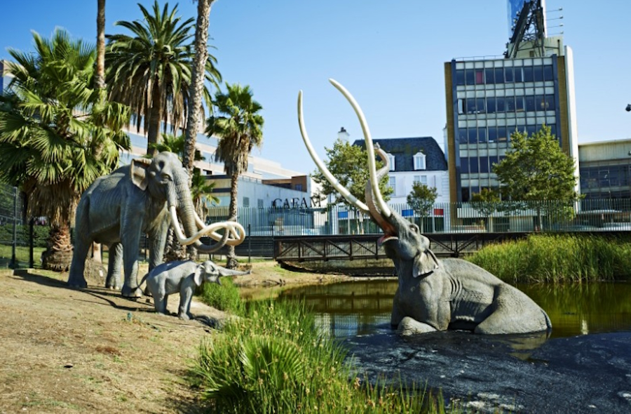 la-brea-tar-pits-and-museum-los-angeles.jpg