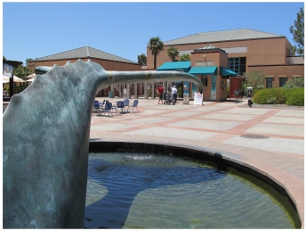 The La Jolla Aquarium, officially known as the Birch Aquarium at Scripps overlooks the Pacific Ocean, with sea creatures from seahorses to sharks.