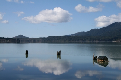 Lake Quinault in the Olympic National Park in Washington