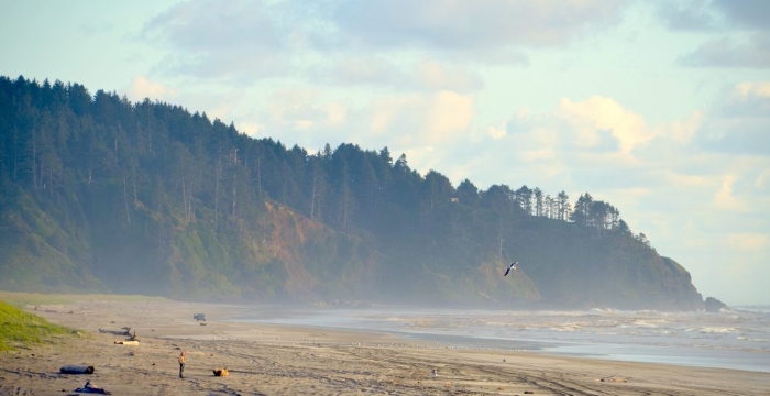 The Long Beach Peninsula in Washington runs north of Ilwaco and includes the town of Long Beach and others, and claims to have the longest beach in the USA.