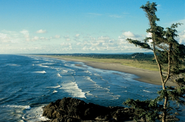 The Longest Beach in the USA is arguably in Long Beach in Washington, though claims that it is also the longest beach in the world are wide of the mark.