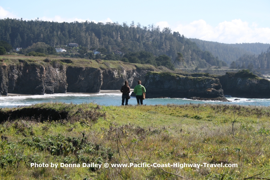 The Sea Cliffs Around Mendocino