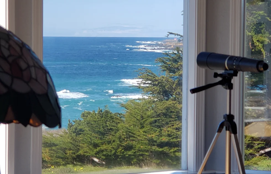 Mendocino-Seaside-Cottage.png