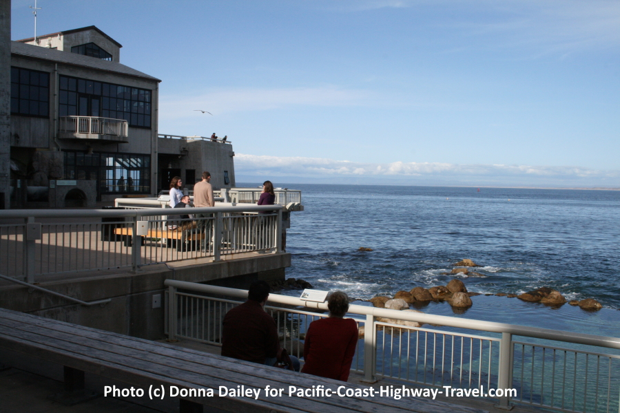 The View from the Monterey Bay Aquarium