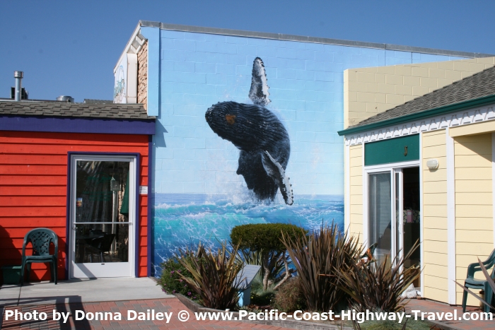 Whale Mural in Morro Bay