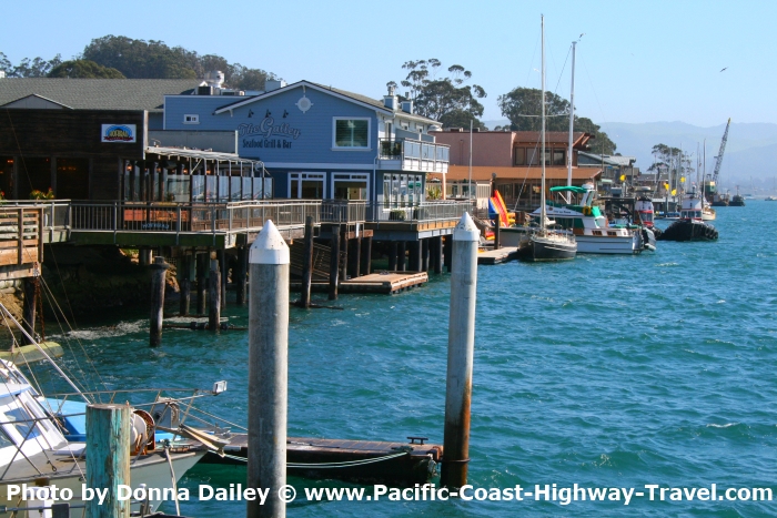 Boats Moored in Morro Bay