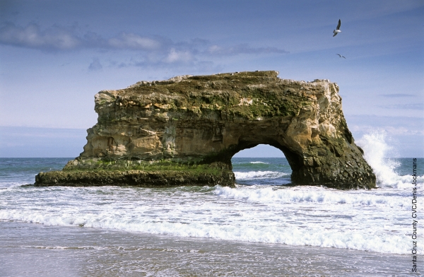 Natural Bridges State Beach near Santa Cruz, from https://www.pacific-coast-highway-travel.com/Santa-Cruz.html