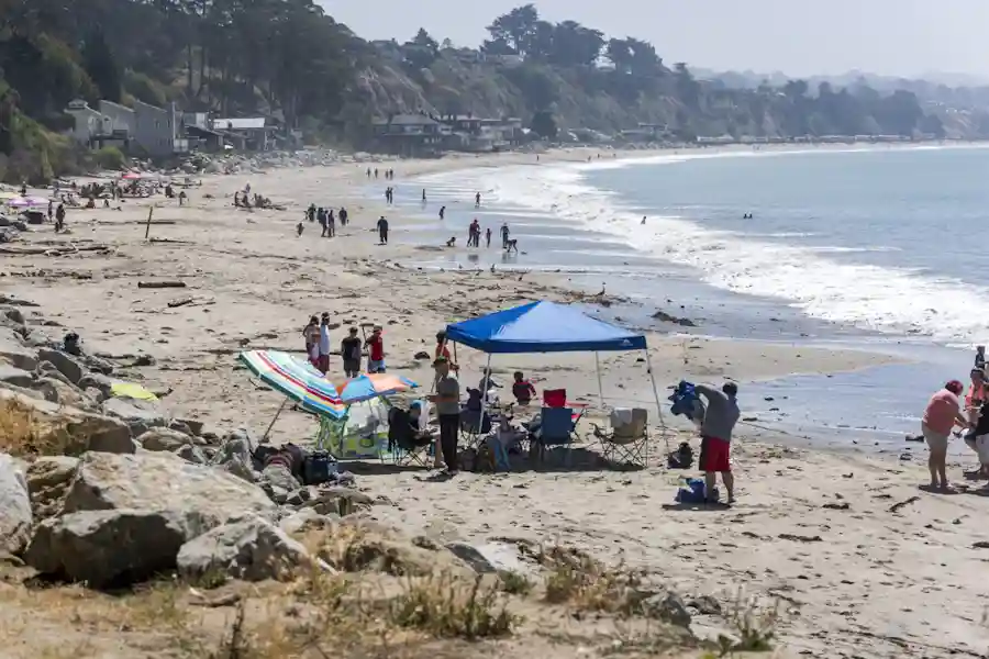 New Brighton State Beach in Santa Cruz