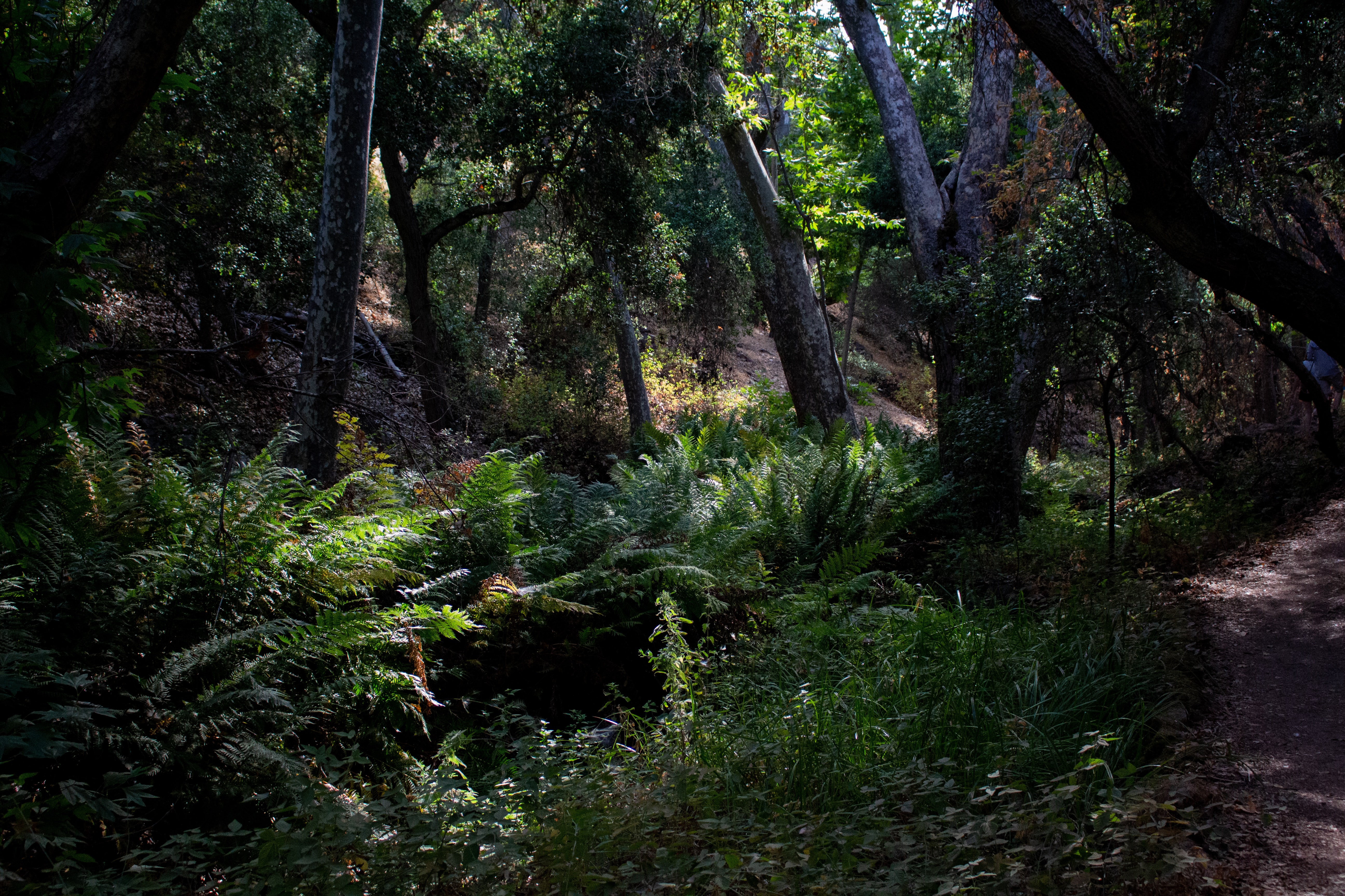 Pinnacles National Park