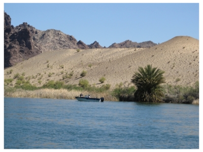 On the Colorado River at Pirate's Cove Resort near Needles in California, photo (c) Donna Dailey from https://www.pacific-coast-highway-travel.com/Colorado-River-Rides.html
