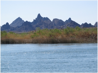 On the Colorado River at Pirate's Cove Resort near Needles in California, photo (c) Donna Dailey from https://www.pacific-coast-highway-travel.com/Colorado-River-Rides.html