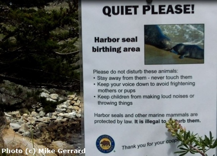 Sign Showing Harbor Seal Birthing Area in the Point Lobos State Natural Reserve near Monterey