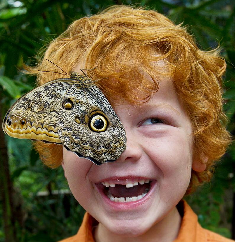 On the Butterfly Jungle Safari at the San Diego Zoo Safari Park