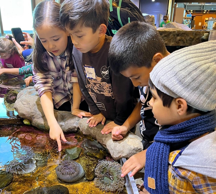 Children looking at an exhibit in the Santa Barbara Natural History Museum