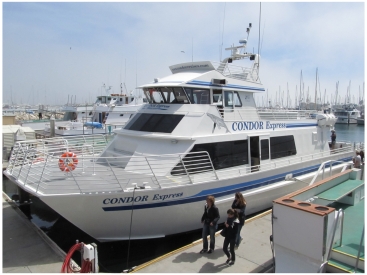 Santa Barbara whale watching cruises in southern California can be booked through Condor Express, with whale watching trips leaving from the harbor.