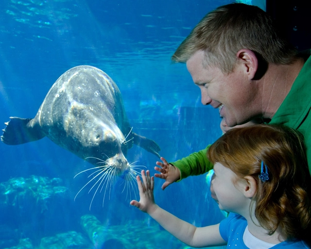 Family Fun at SeaWorld San Diego