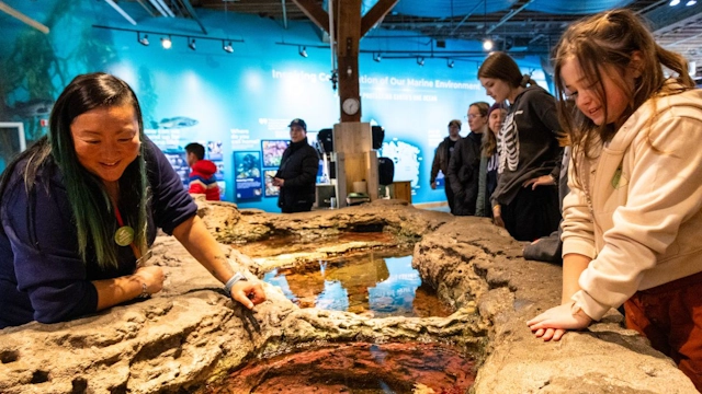 Pools in the Seattle Aquarium