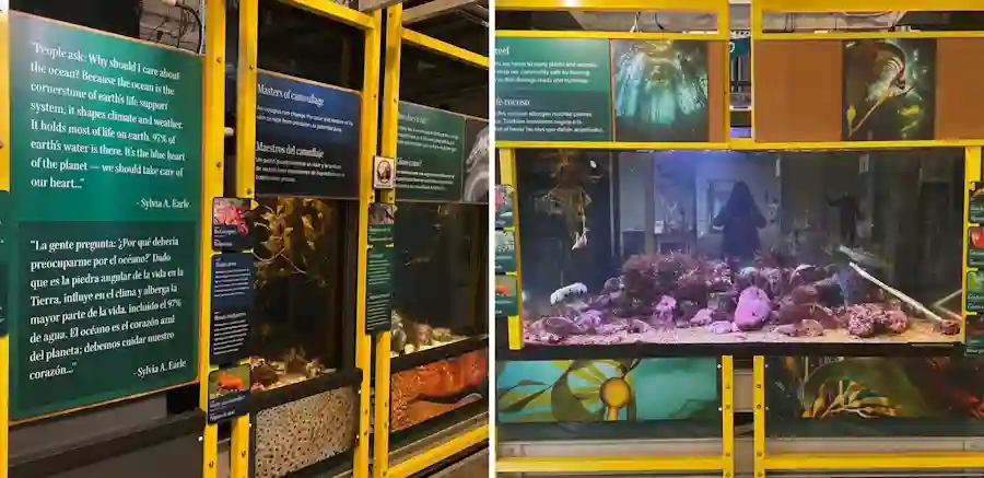 Seymour Marine Discovery Center