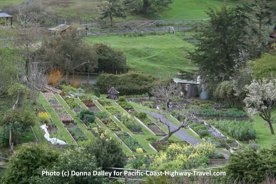 The View from a guest Bedroom at The Stanford Inn by the Sea in Mendocino