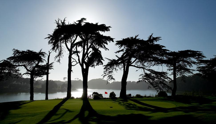 tpc-harding-park-golf-course-san-francisco.png