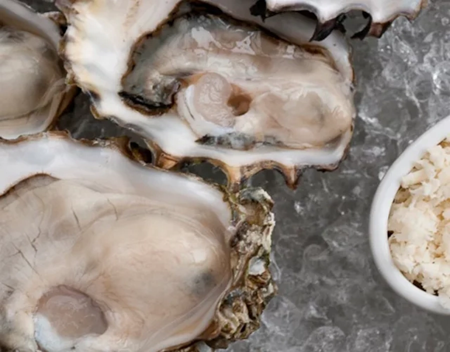 Plate of Oysters in the Walrus Bar in Seattle