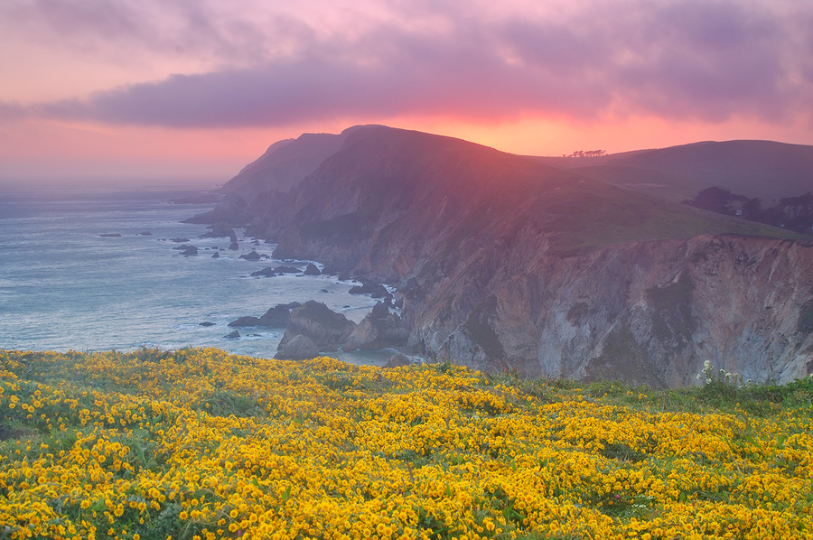 The Point Reyes National Seashore is an hour’s drive northwest of San Francisco on the Pacific Coast Highway and is maintained by the National Park Service.