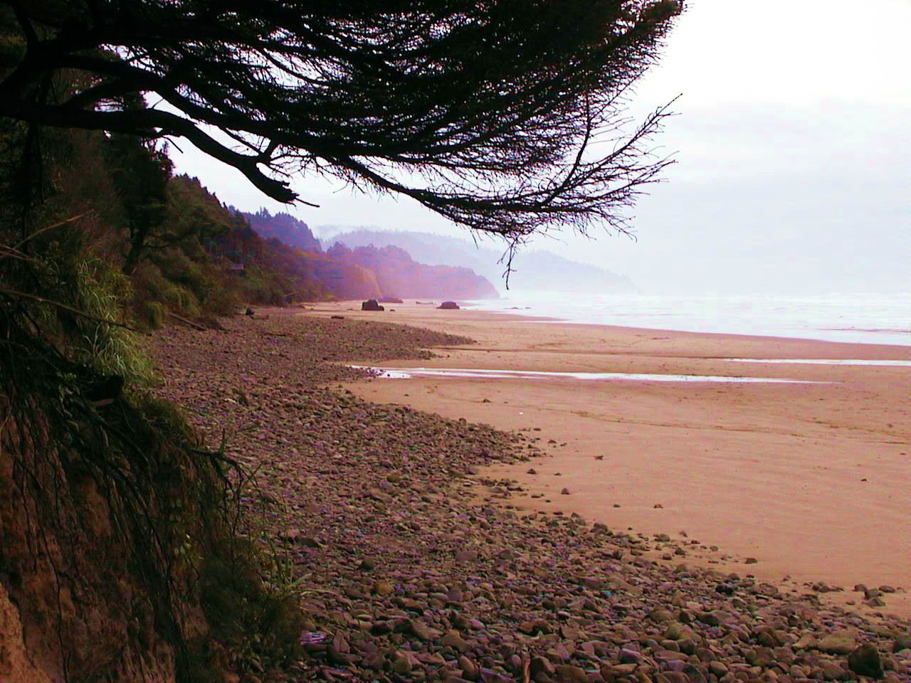 Cannon Beach