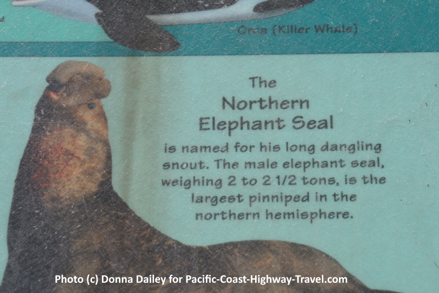 Sign at Piedras Blancas Elephant Seals Beach near San Simeon in California