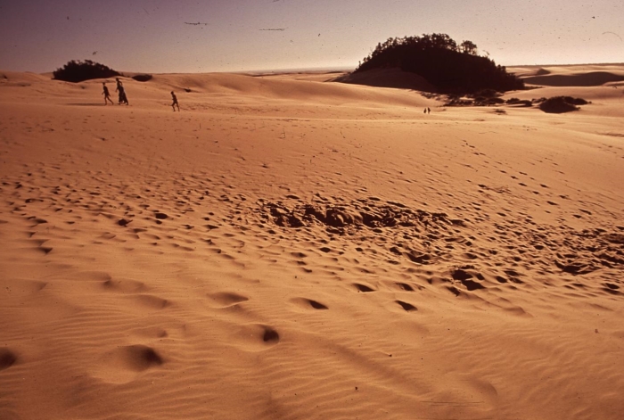 Oregon Dunes National Recreation Area